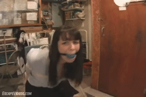 escapevideos.com - Alexis Ball Gagged Hopping thumbnail